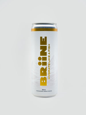 BRiiNE 24 PACK - Pacific Tide