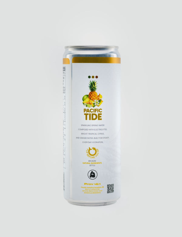 BRiiNE 24 PACK - Pacific Tide