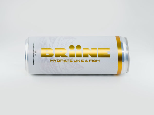 BRiiNE 24 PACK - Pacific Tide